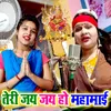 About Teri Jay Jay Ho Mahamai Song